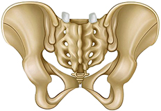 Caderas vista posterior